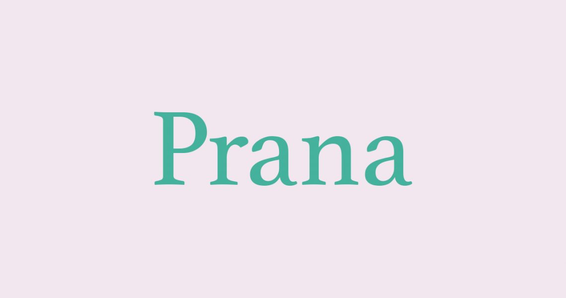 Vinyasa Prana Flow