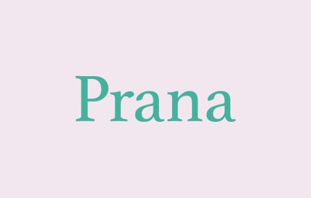 Vinyasa Prana Flow